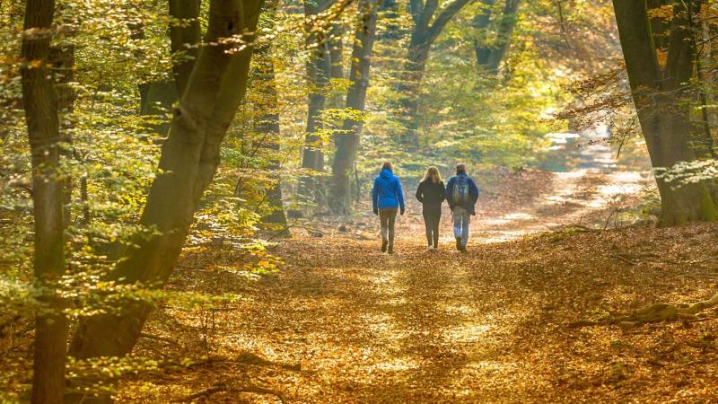 A NAV egy balesetveszélyes épületet bontott le a Kéktúra egyik kiindulópontjánál.