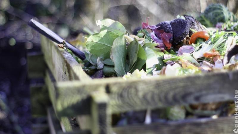 **Hogyan készítsünk egyedi komposztládát házilag, fillérekből?**

A környezettudatos életmódhoz hozzátartozik a hulladékcsökkentés, és a komposztálás nagyszerű módja ennek. Ha szeretnéd elkezdeni a komposztálást, de nem akarsz sokat költeni, itt egy egysz